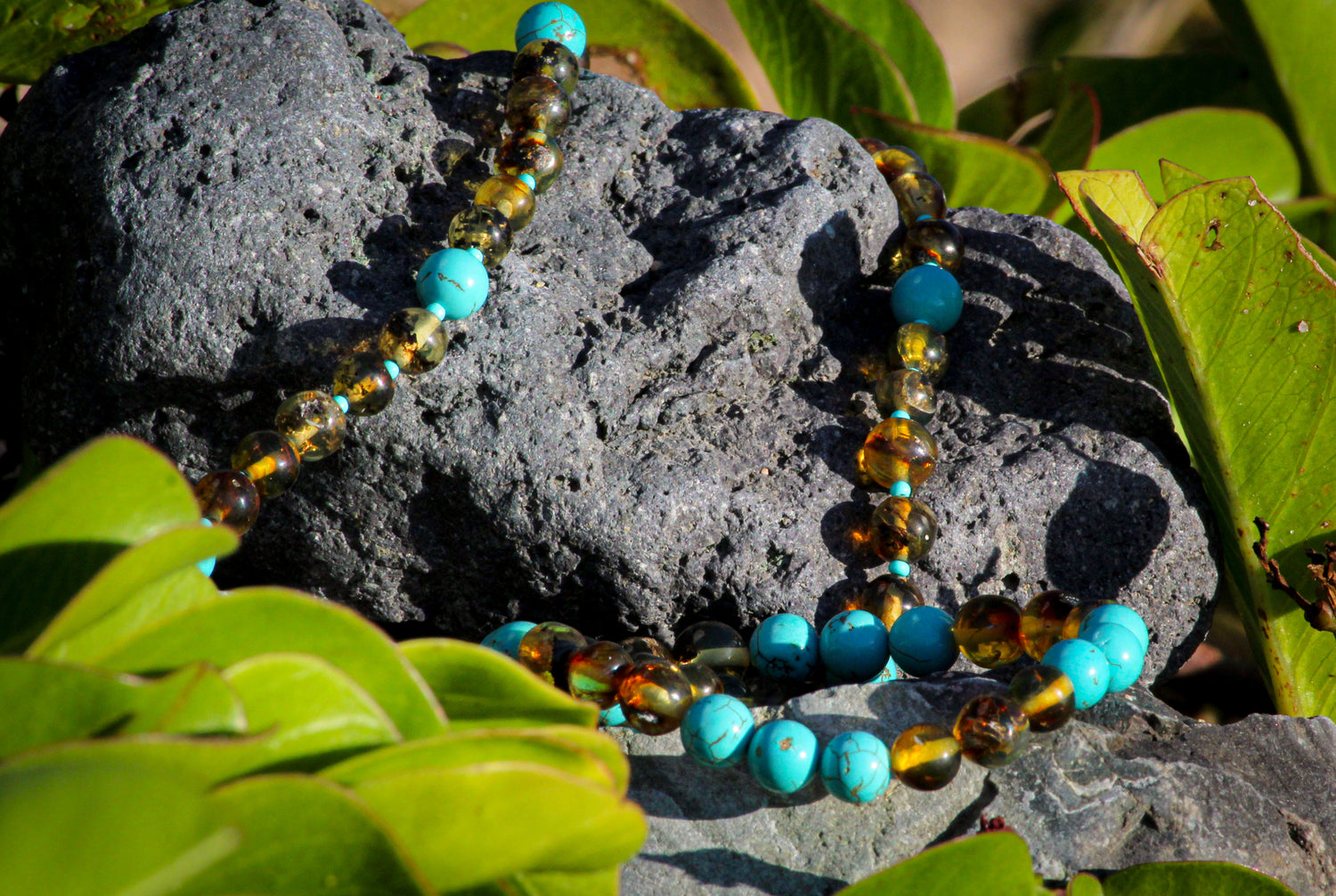 Collar de ambar adulto plantas