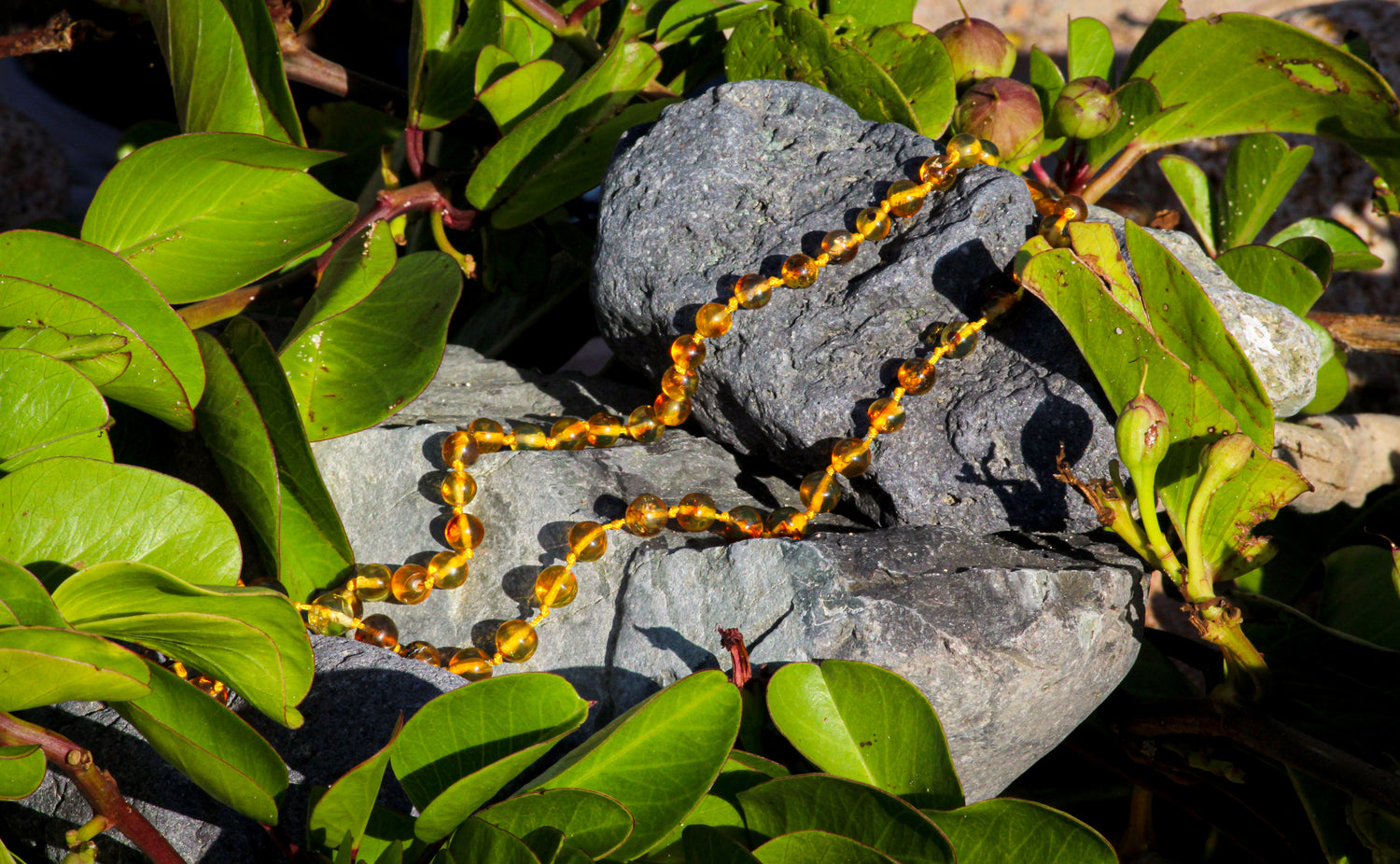 collar de ambar